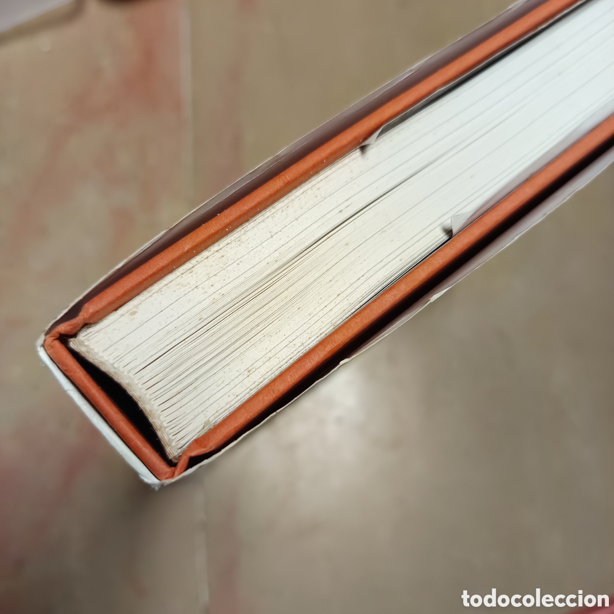 Libros: El libro de Rembrandt. Gary Schwartz - Foto 3