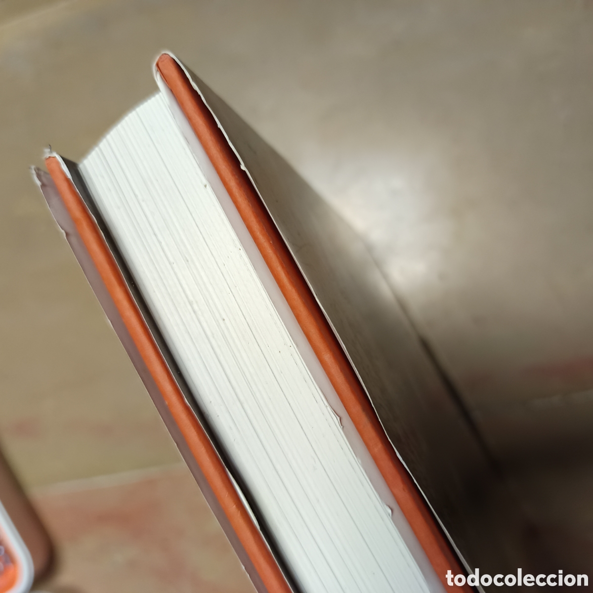Libros: El libro de Rembrandt. Gary Schwartz - Foto 5