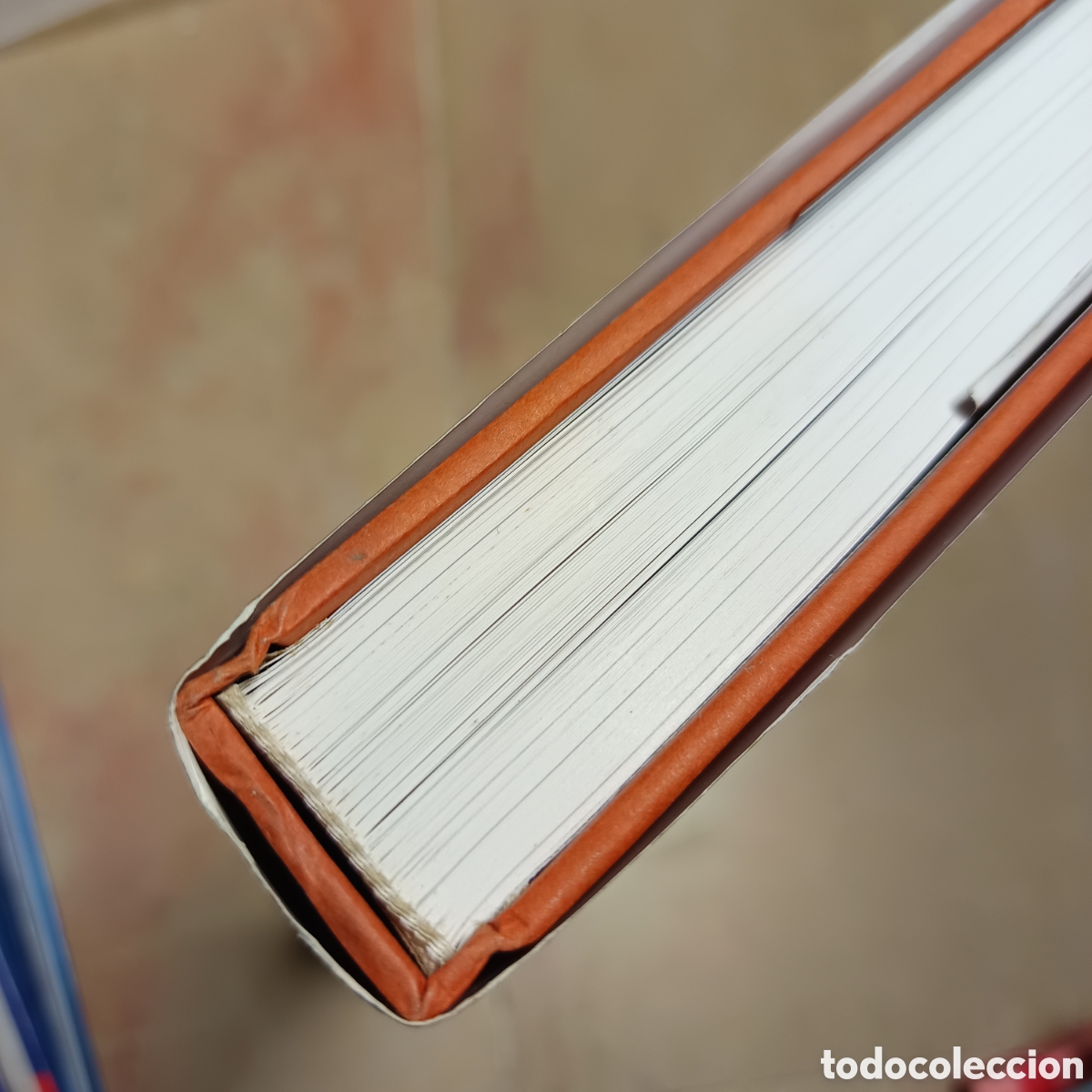 Libros: El libro de Rembrandt. Gary Schwartz - Foto 4