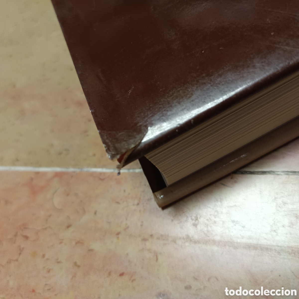 Libros: El libro de Rembrandt. Gary Schwartz - Foto 2
