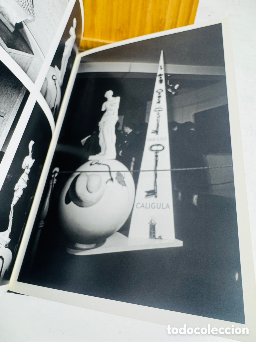 Libros: Schaal Versus Dal&iacute; Libro - Foto 5