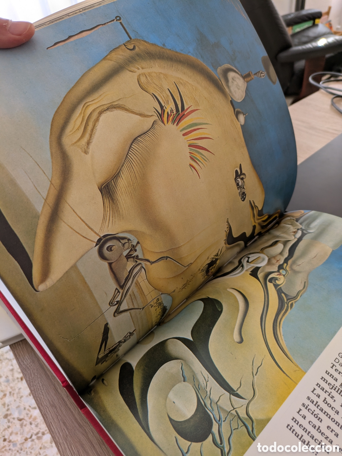 Libros: Dal&iacute;. Draeger. Blume. 1968 - Foto 7