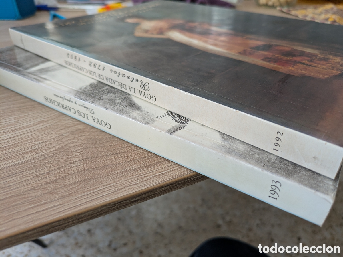 Libros: Lote Goya. Dos libros. - Foto 3