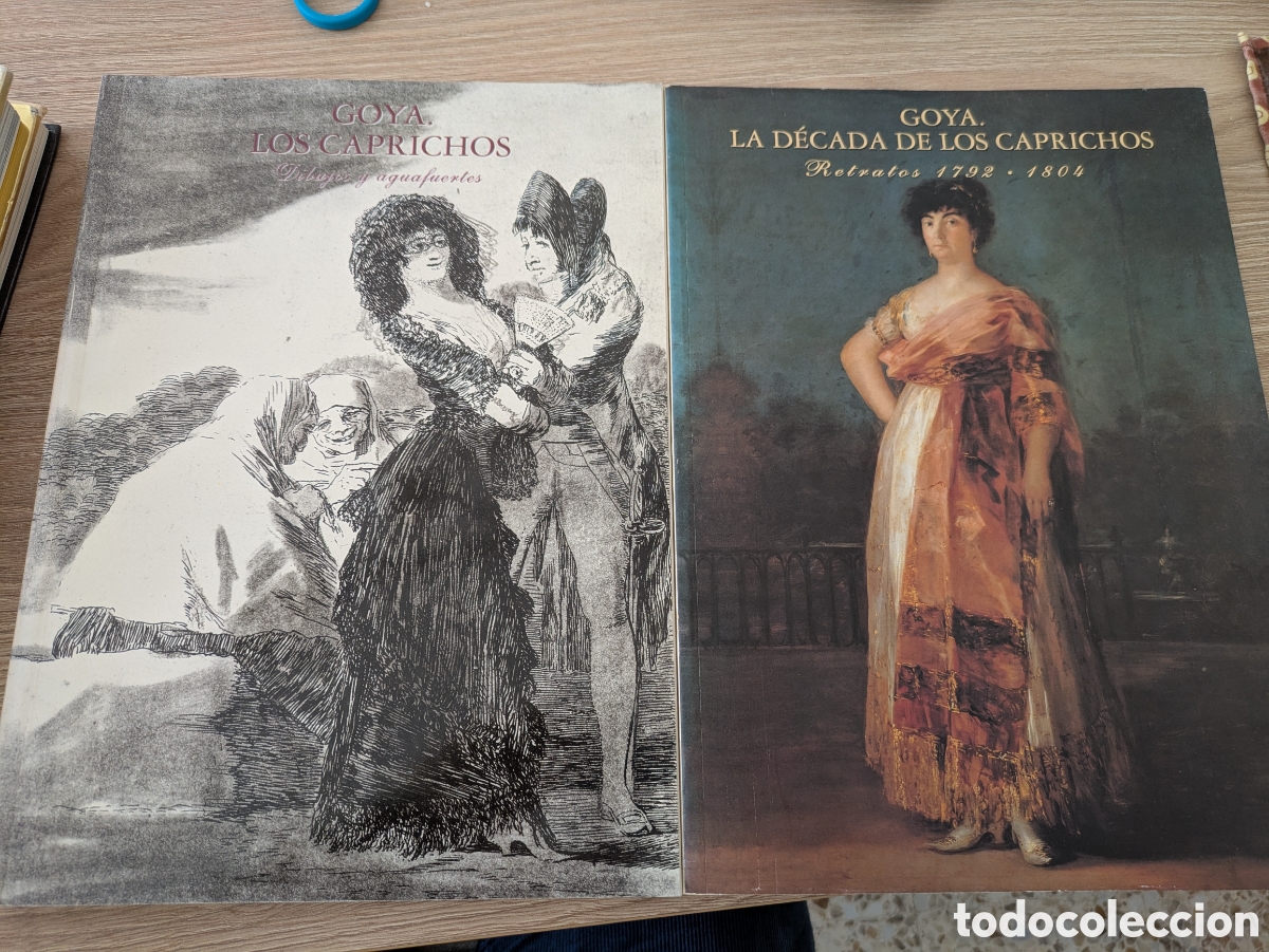 Libros: Lote Goya. Dos libros. - Foto 1