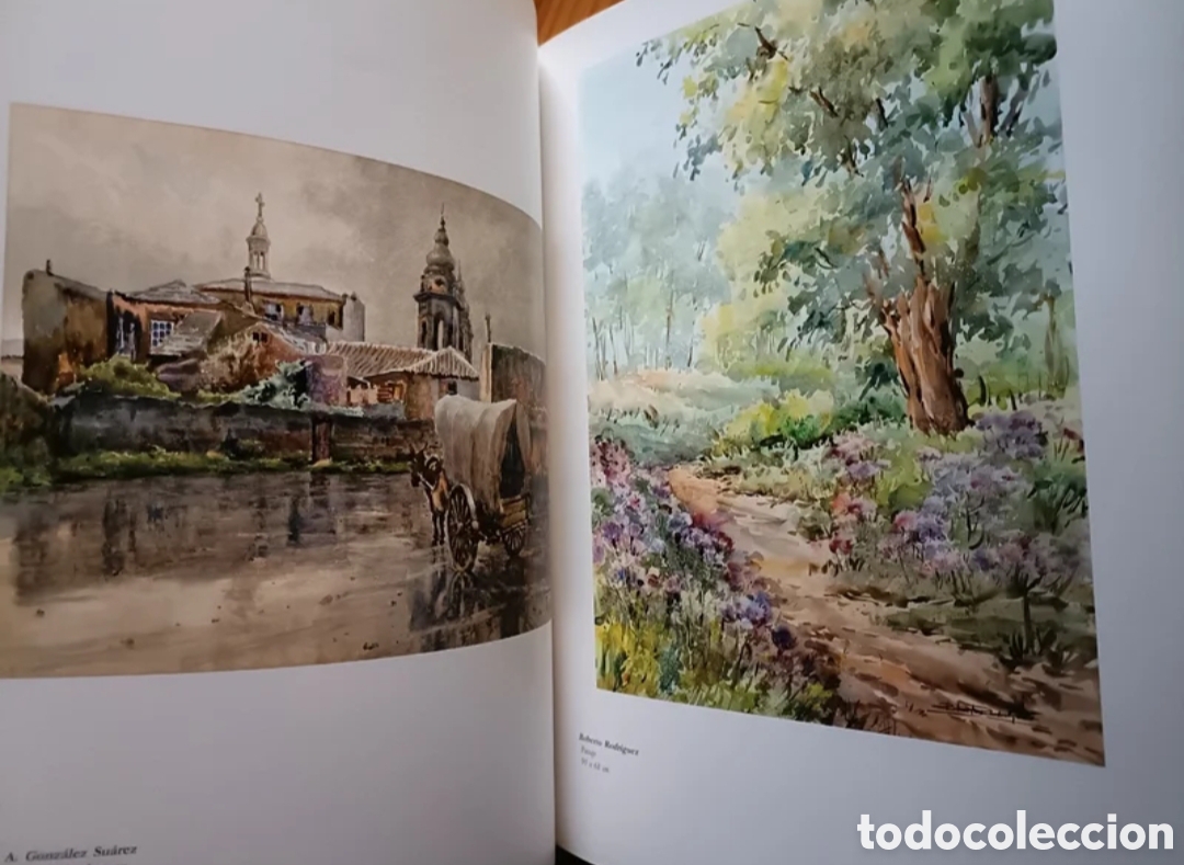 Libros: La acuarela en Canarias - Foto 5