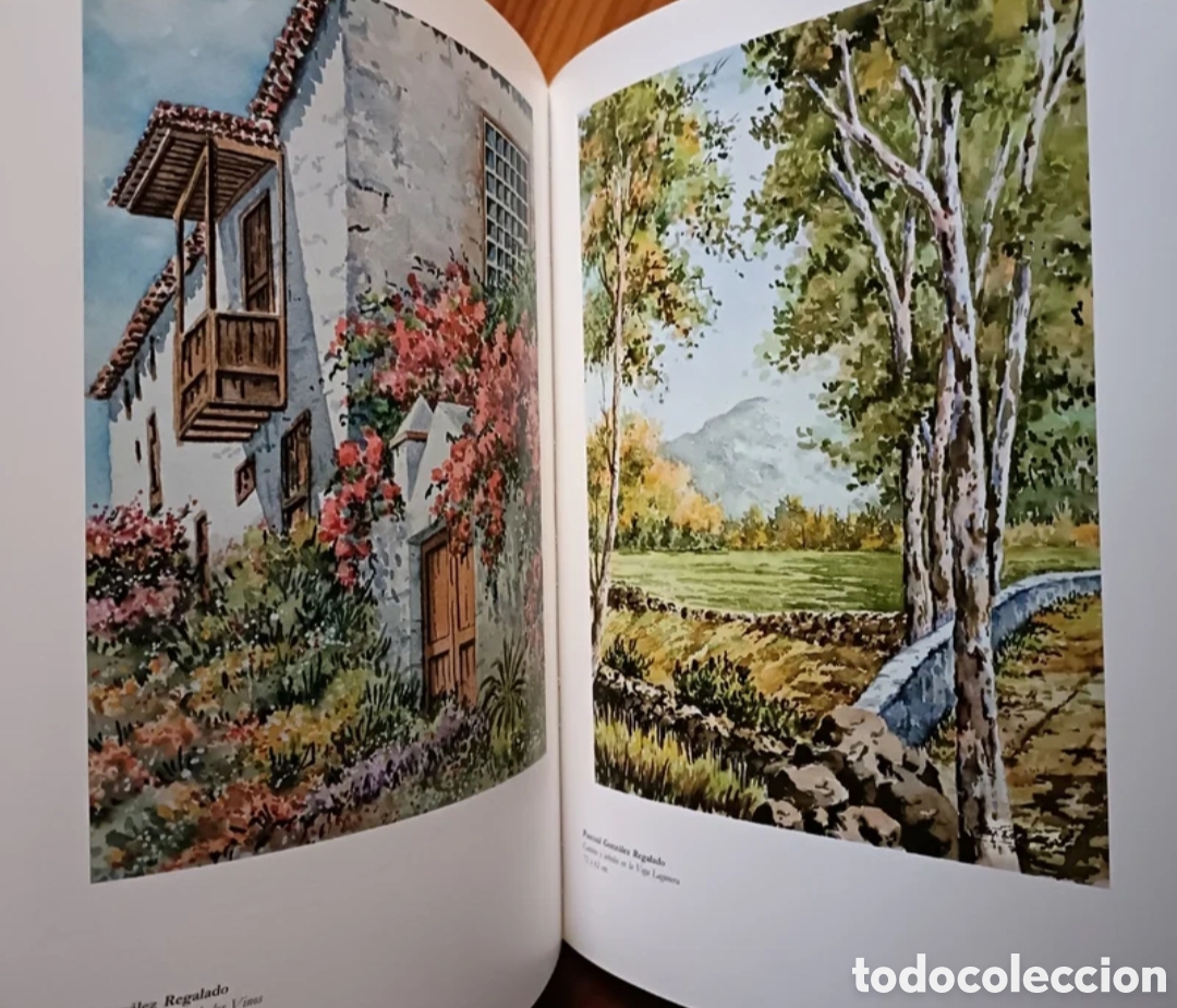 Libros: La acuarela en Canarias - Foto 7