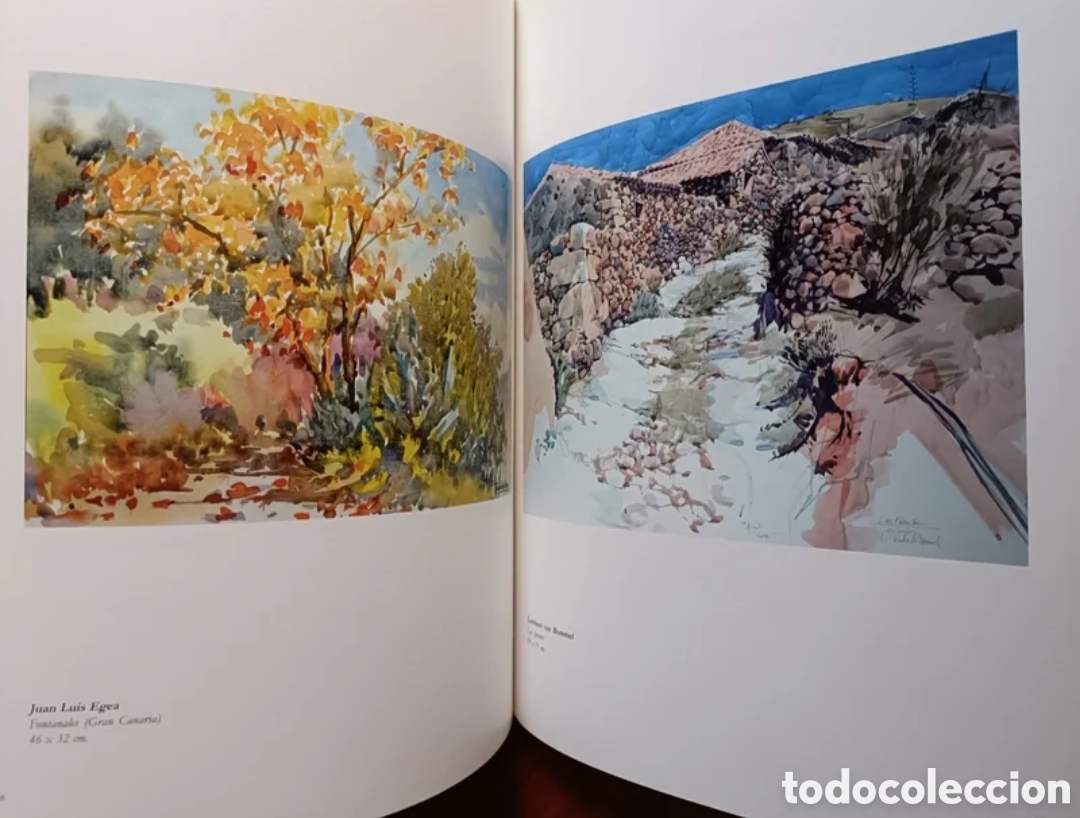 Libros: La acuarela en Canarias - Foto 9