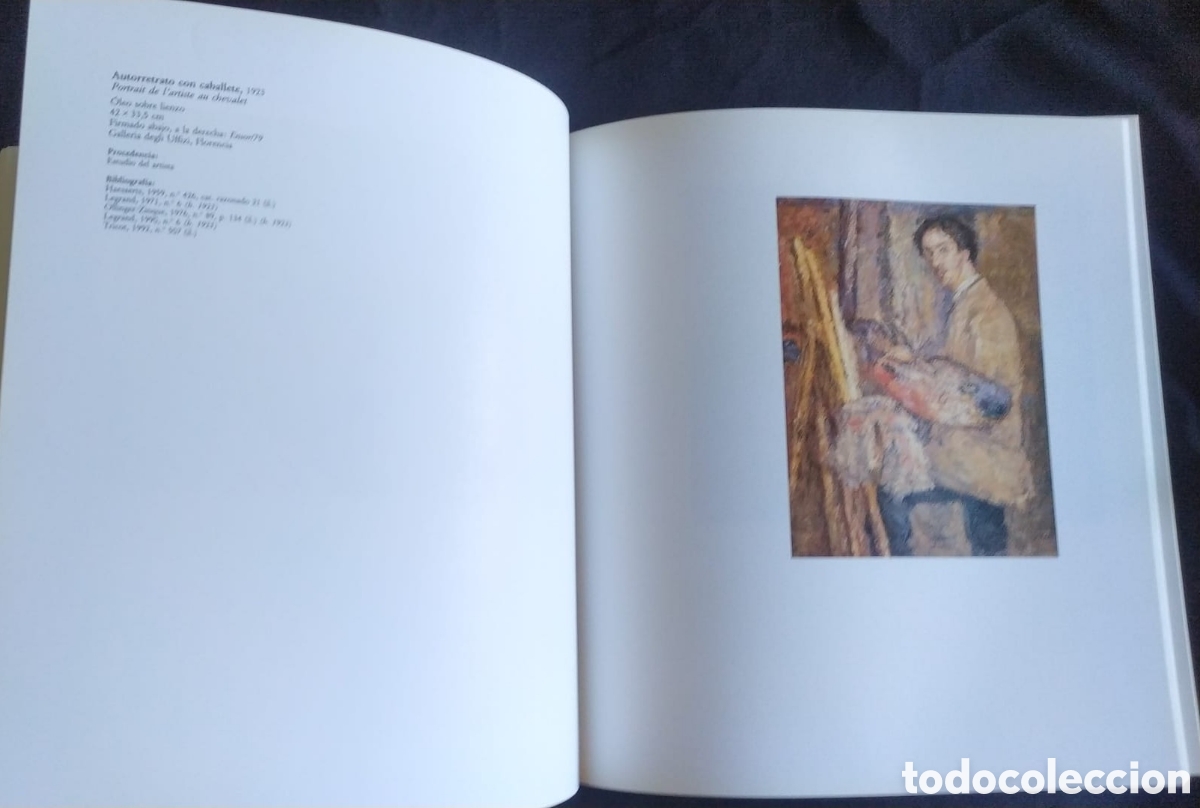 Libros: James Ensor. COLECCI&Oacute;N BBVA. 1996. - Foto 3