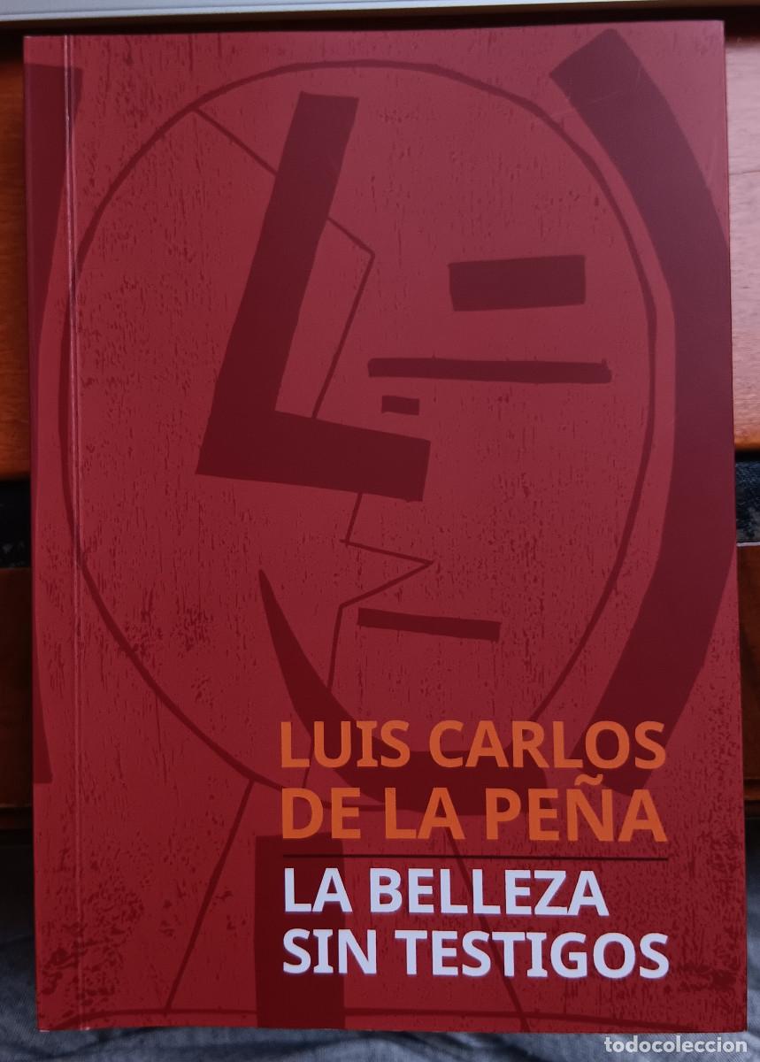 Libros: La belleza sin testigos - Foto 1