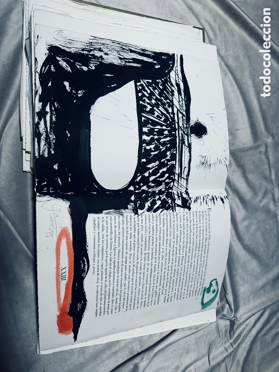 Libros: &rdquo;LAUCA DEN JORDI CUR&Oacute;S&rdquo; - Foto 8