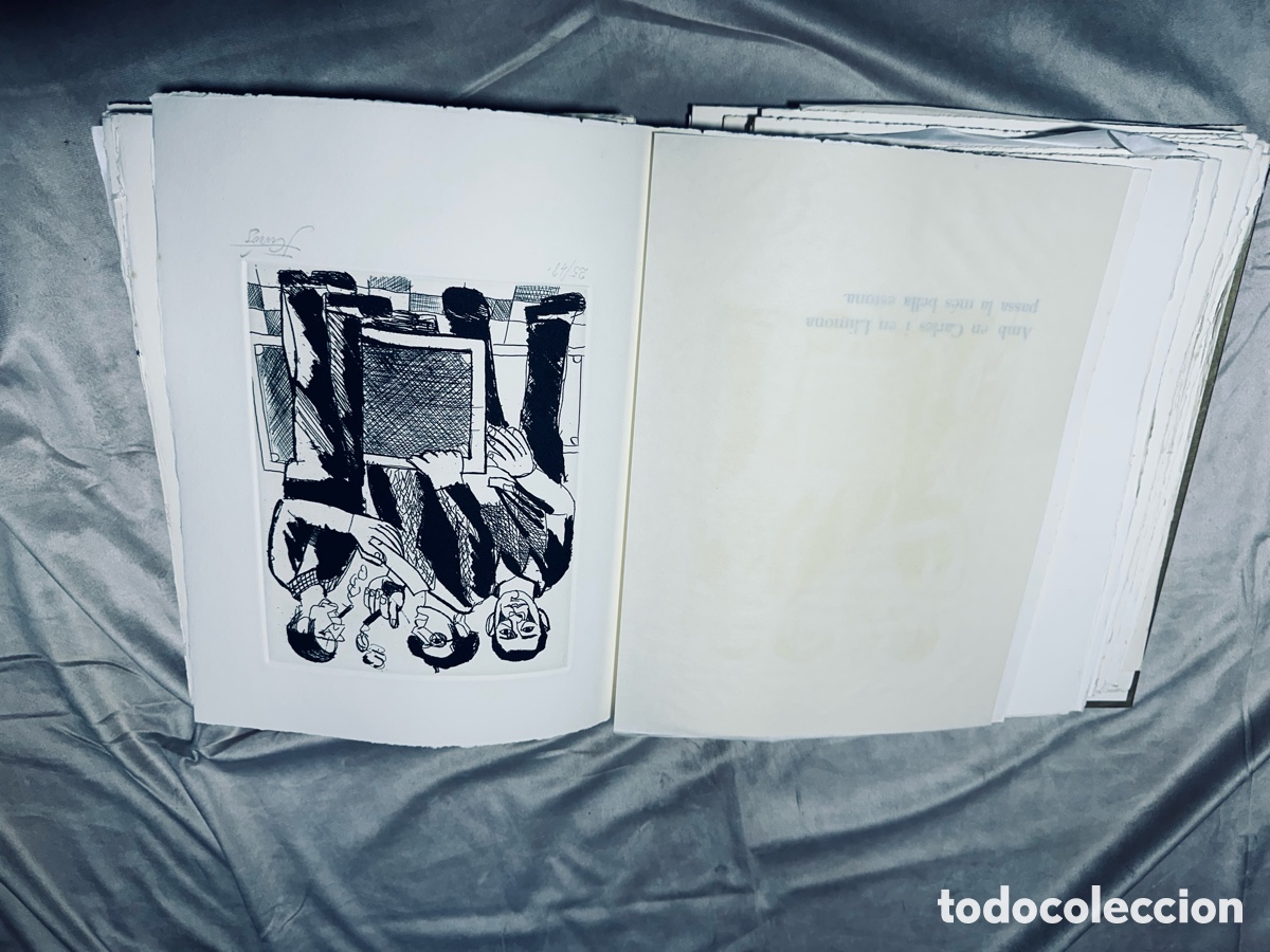 Libros: &rdquo;LAUCA DEN JORDI CUR&Oacute;S&rdquo; - Foto 12