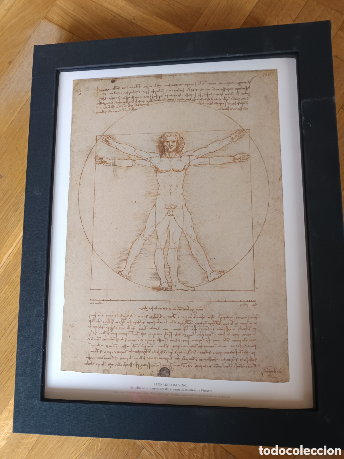 Libros: Leonardo 500. SKEL.Edicion agotada. - Foto 1