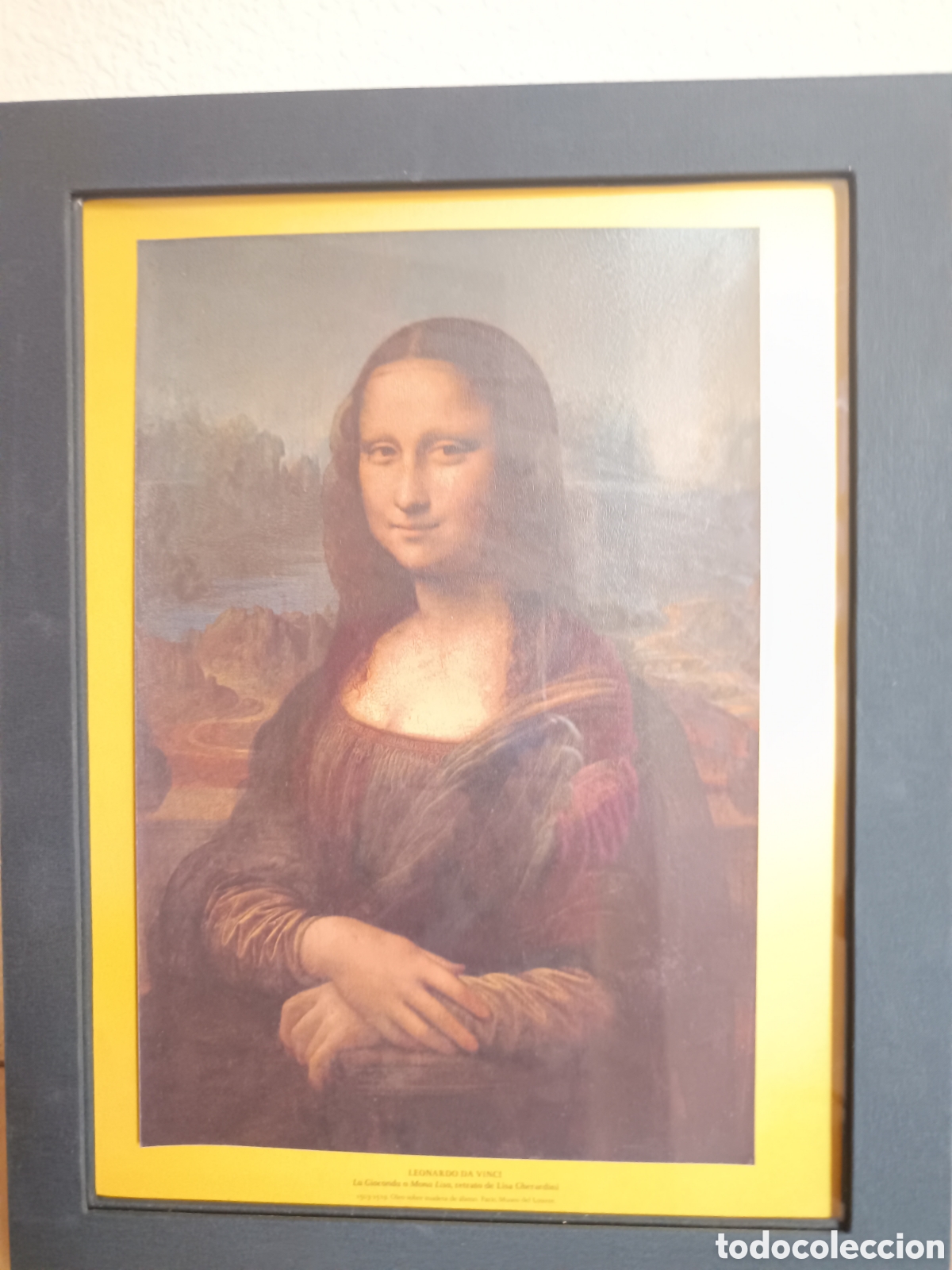 Libros: Leonardo 500: La Gioconda. SKEL - Foto 1