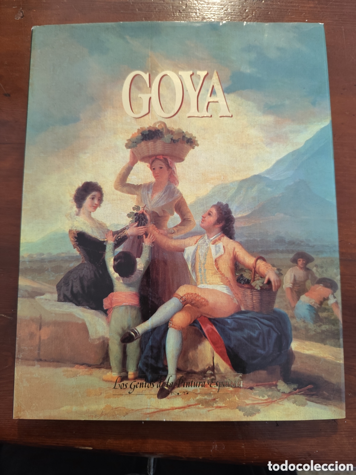 Libri: Goya - tapa dura ilustrado