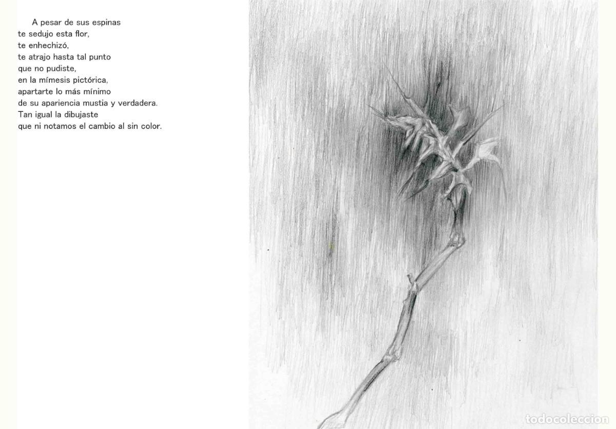 Libros: Libro autoedici&oacute;n. T&iacute;tulo &rdquo; BOTANICAPLICADA&rdquo; - Foto 4