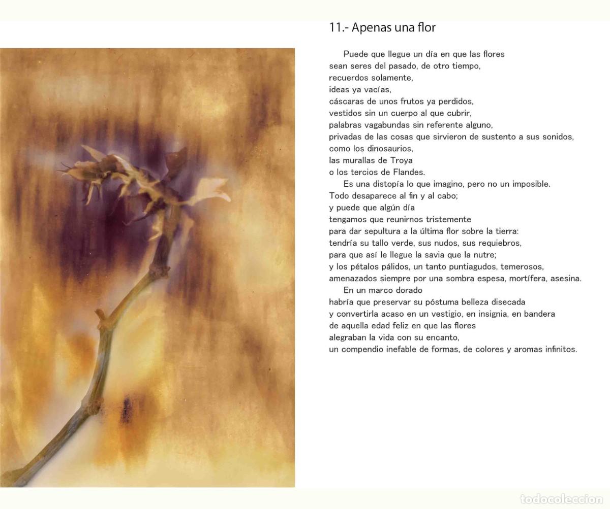 Libros: Libro autoedici&oacute;n. T&iacute;tulo &rdquo; BOTANICAPLICADA&rdquo; - Foto 5