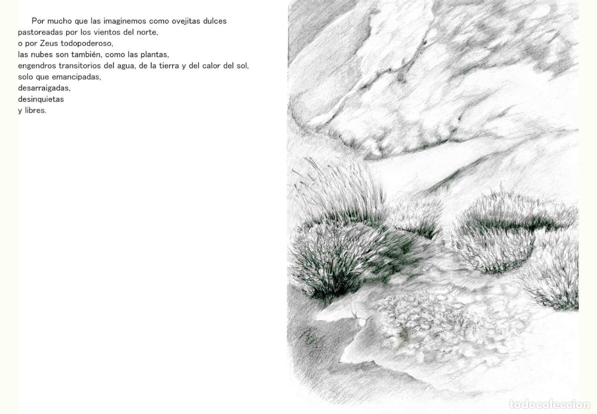 Libros: Libro autoedici&oacute;n. T&iacute;tulo &rdquo; BOTANICAPLICADA&rdquo; - Foto 6