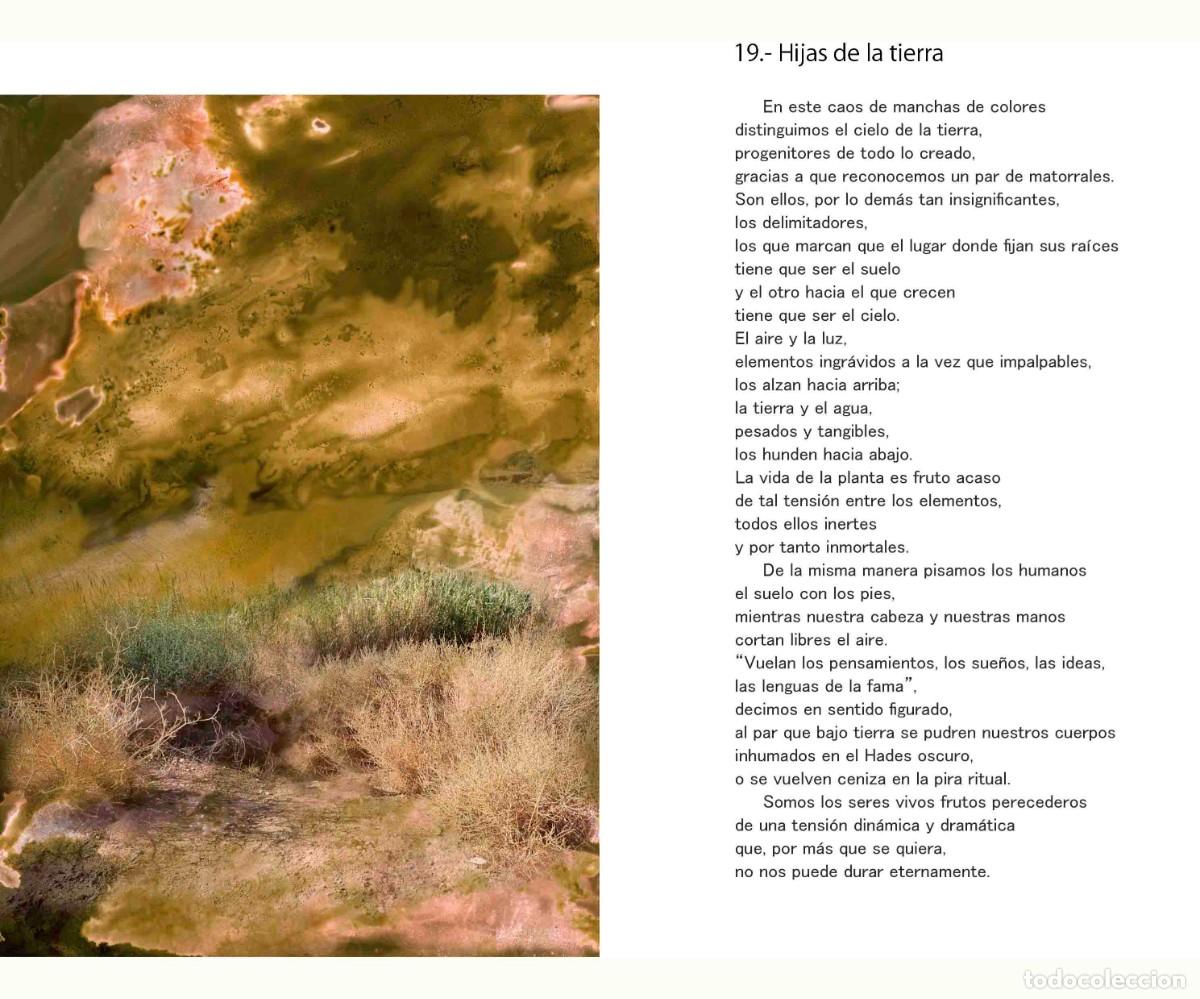 Libros: Libro autoedici&oacute;n. T&iacute;tulo &rdquo; BOTANICAPLICADA&rdquo; - Foto 7