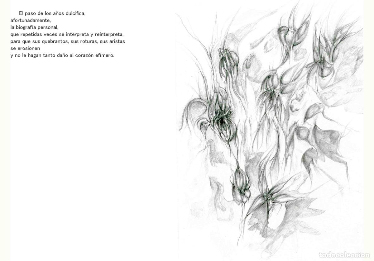Libros: Libro autoedici&oacute;n. T&iacute;tulo &rdquo; BOTANICAPLICADA&rdquo; - Foto 8