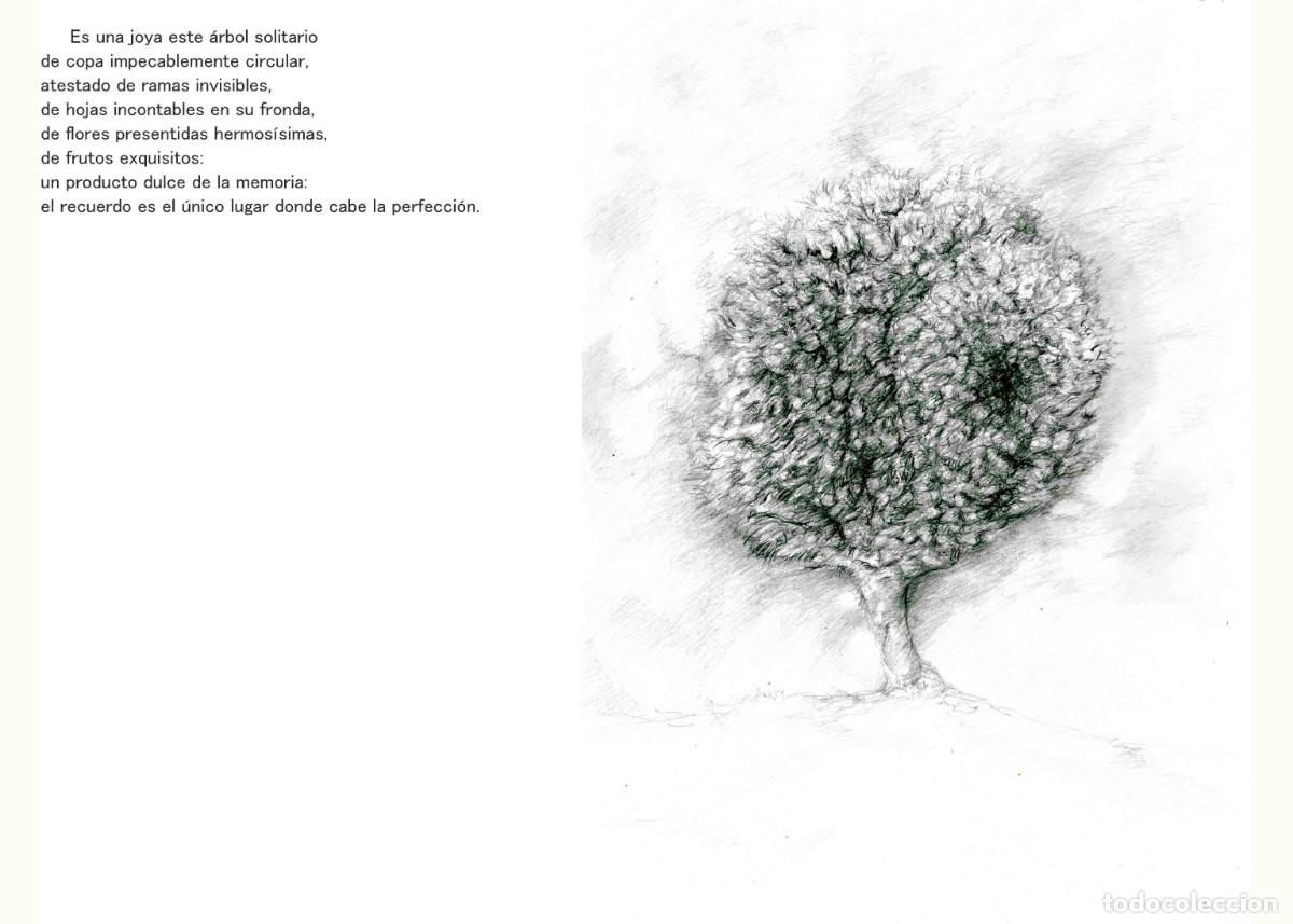 Libros: Libro autoedici&oacute;n. T&iacute;tulo &rdquo; BOTANICAPLICADA&rdquo; - Foto 10