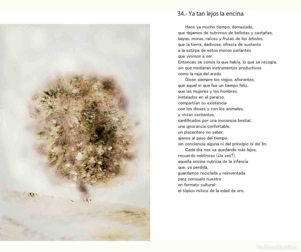 Libros: Libro autoedici&oacute;n. T&iacute;tulo &rdquo; BOTANICAPLICADA&rdquo; - Foto 11