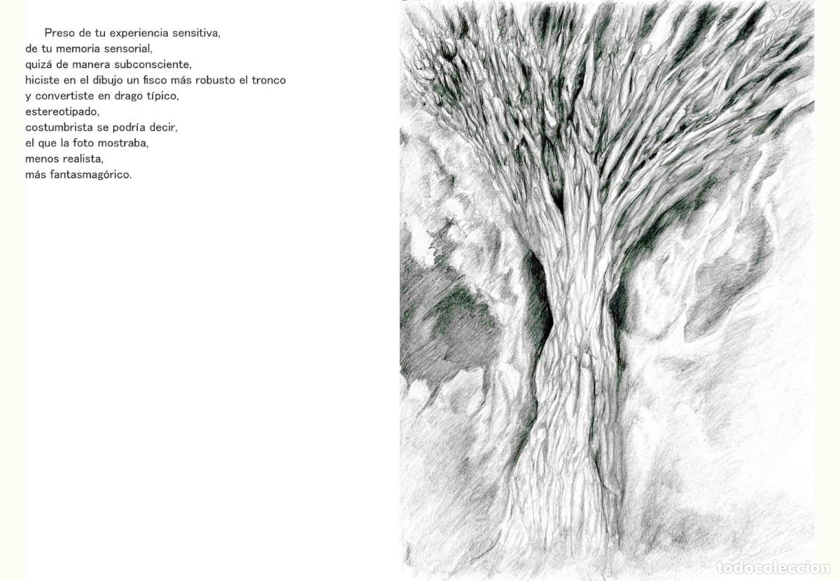 Libros: Libro autoedici&oacute;n. T&iacute;tulo &rdquo; BOTANICAPLICADA&rdquo; - Foto 12