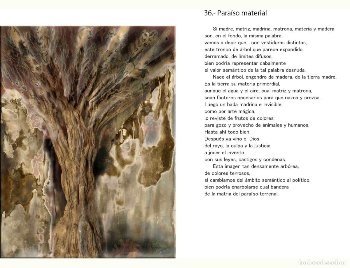 Libros: Libro autoedici&oacute;n. T&iacute;tulo &rdquo; BOTANICAPLICADA&rdquo; - Foto 13