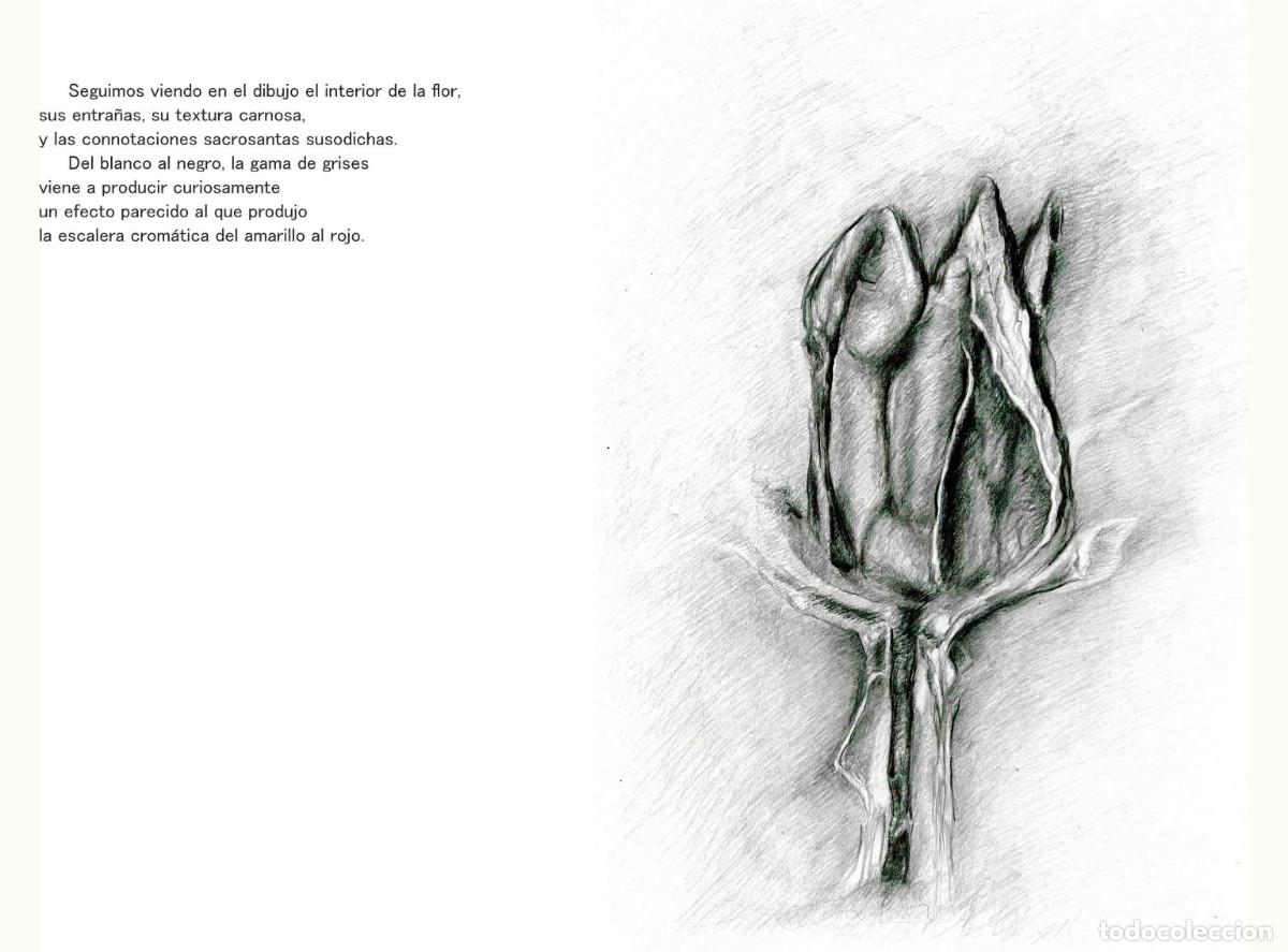 Libros: Libro autoedici&oacute;n. T&iacute;tulo &rdquo; BOTANICAPLICADA&rdquo; - Foto 14