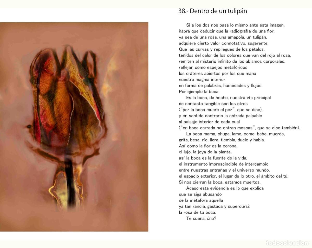 Libros: Libro autoedici&oacute;n. T&iacute;tulo &rdquo; BOTANICAPLICADA&rdquo; - Foto 15