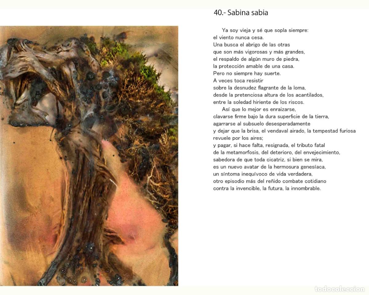 Libros: Libro autoedici&oacute;n. T&iacute;tulo &rdquo; BOTANICAPLICADA&rdquo; - Foto 17