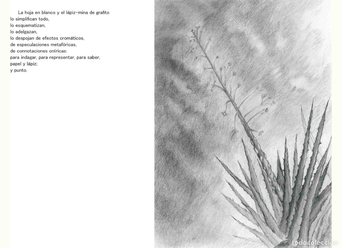 Libros: Libro autoedici&oacute;n. T&iacute;tulo &rdquo; BOTANICAPLICADA&rdquo; - Foto 2
