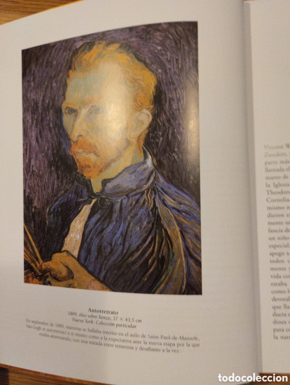 Libros: VAN GOGH, TIKAL EDICIONES - Foto 6