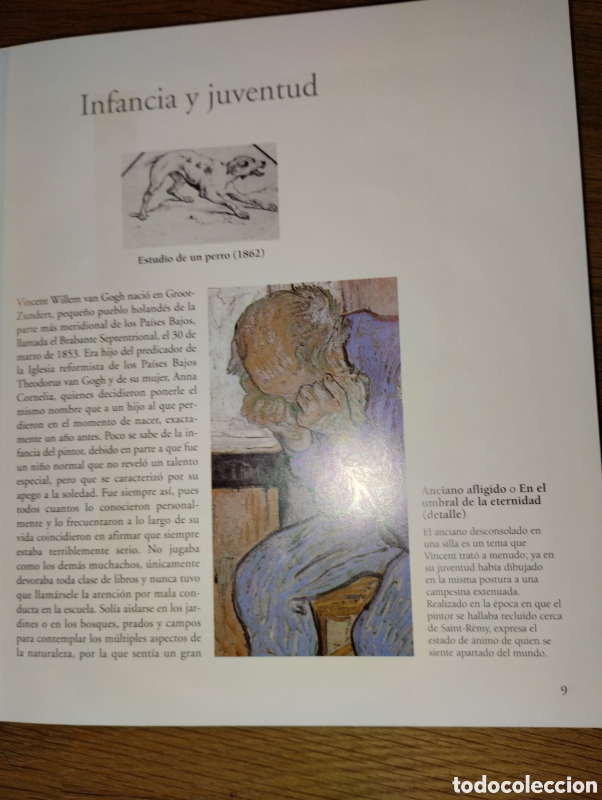 Libros: VAN GOGH, TIKAL EDICIONES - Foto 7