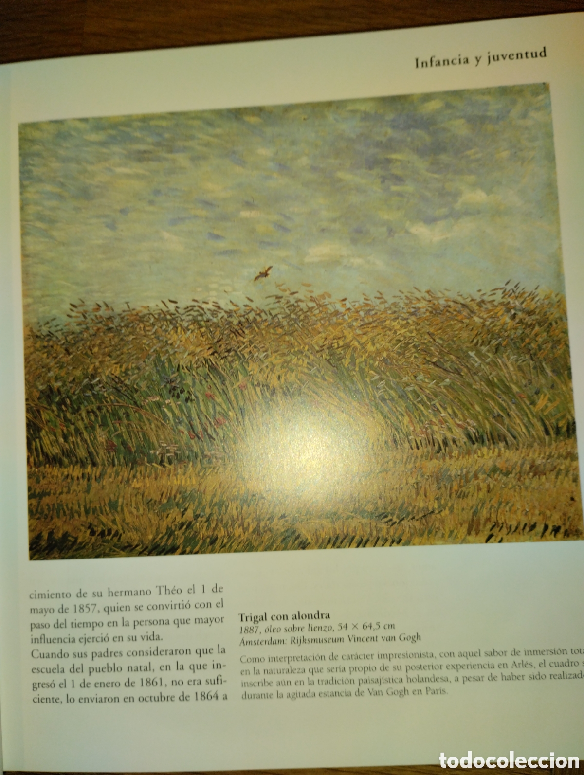 Libros: VAN GOGH, TIKAL EDICIONES - Foto 9