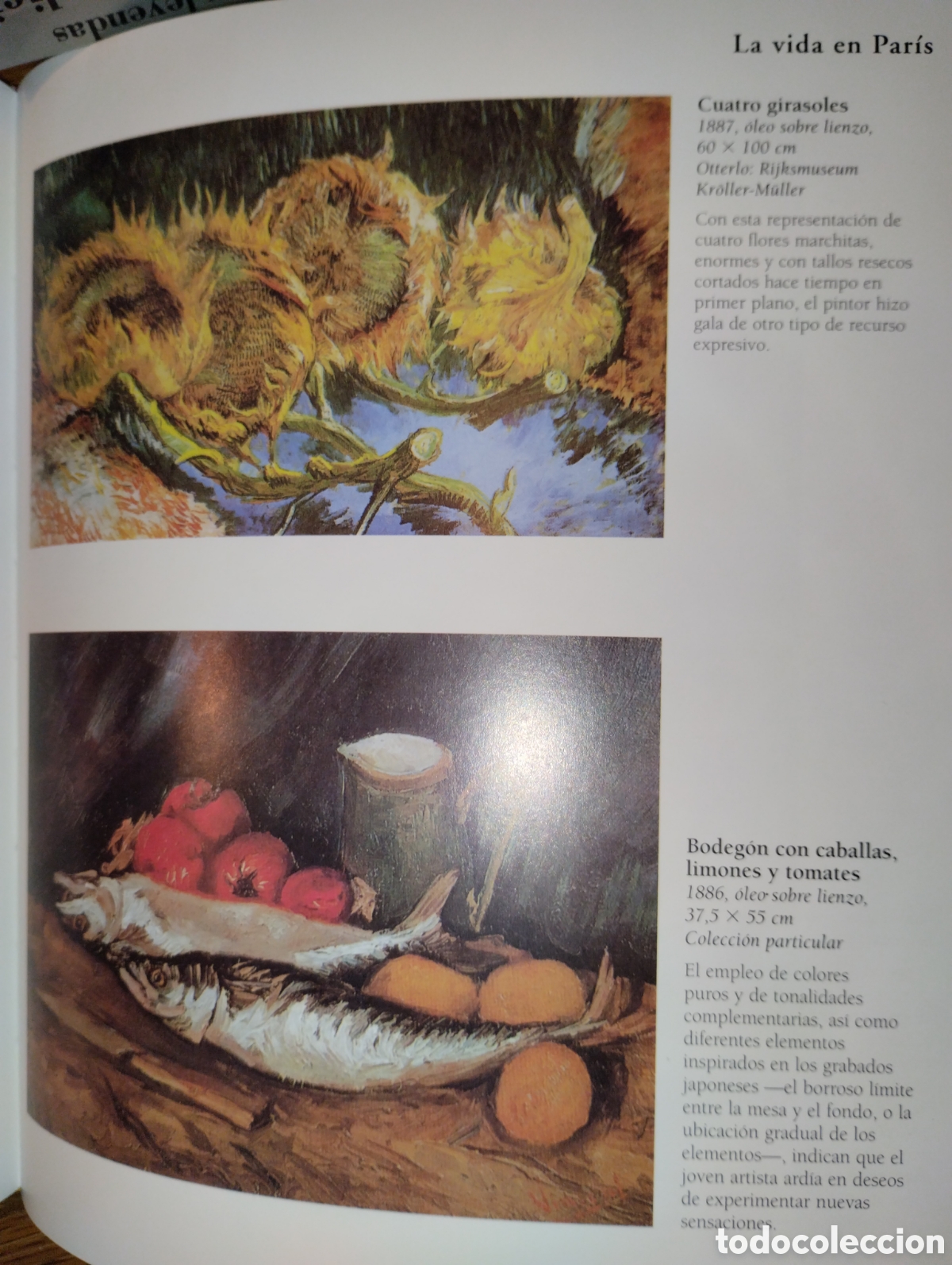 Libros: VAN GOGH, TIKAL EDICIONES - Foto 15