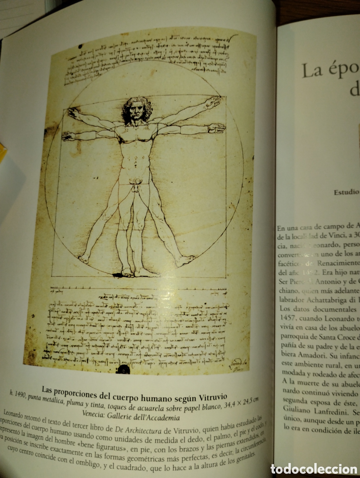 Libros: LEONARDO DA VINCI, TIKAL - Foto 6