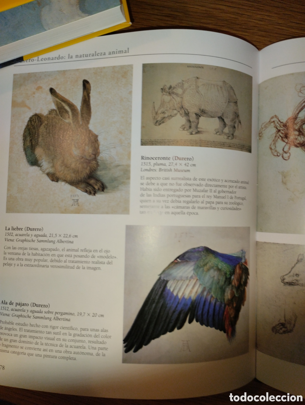 Libros: LEONARDO DA VINCI, TIKAL - Foto 14
