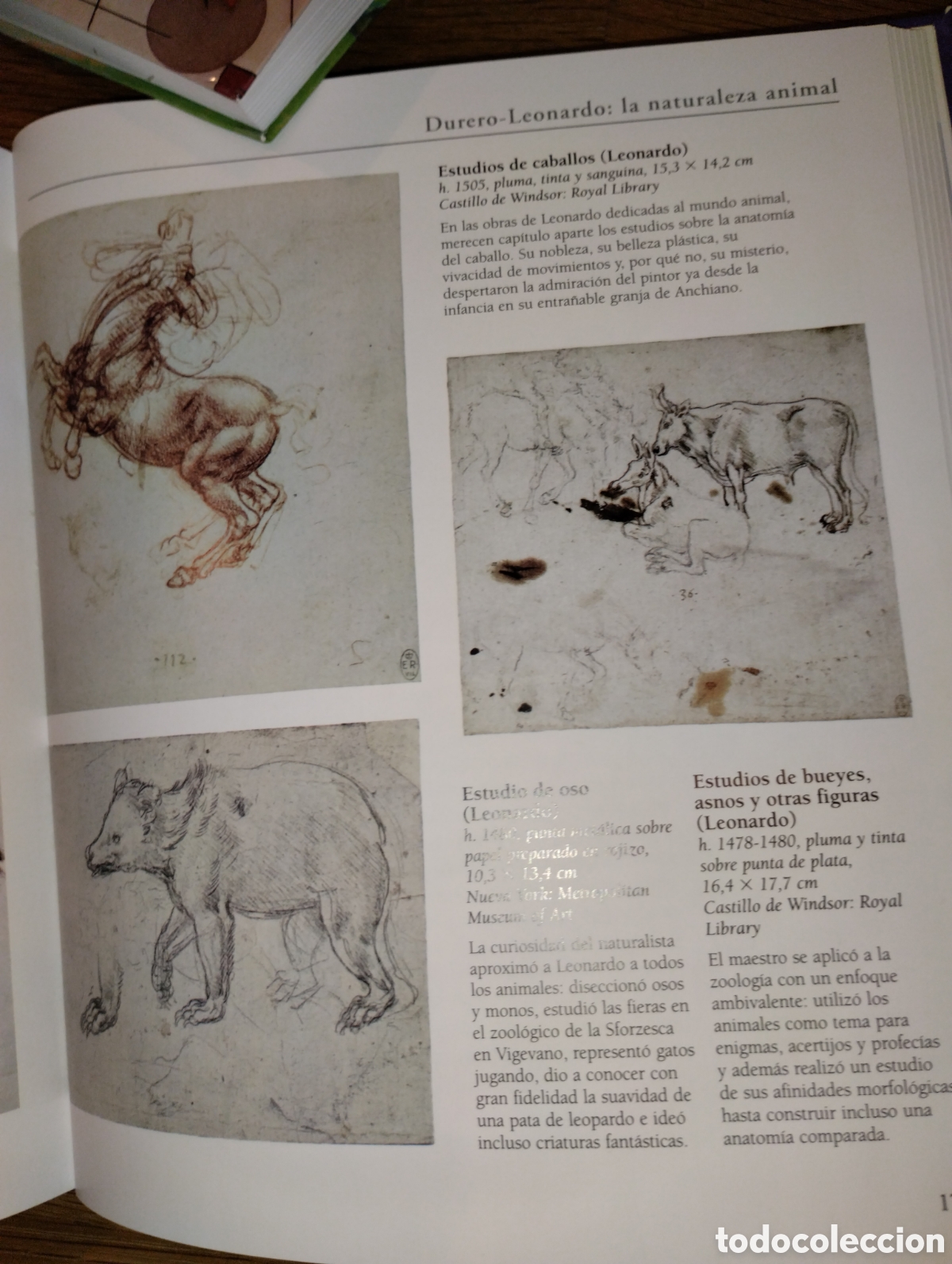 Libros: LEONARDO DA VINCI, TIKAL - Foto 15
