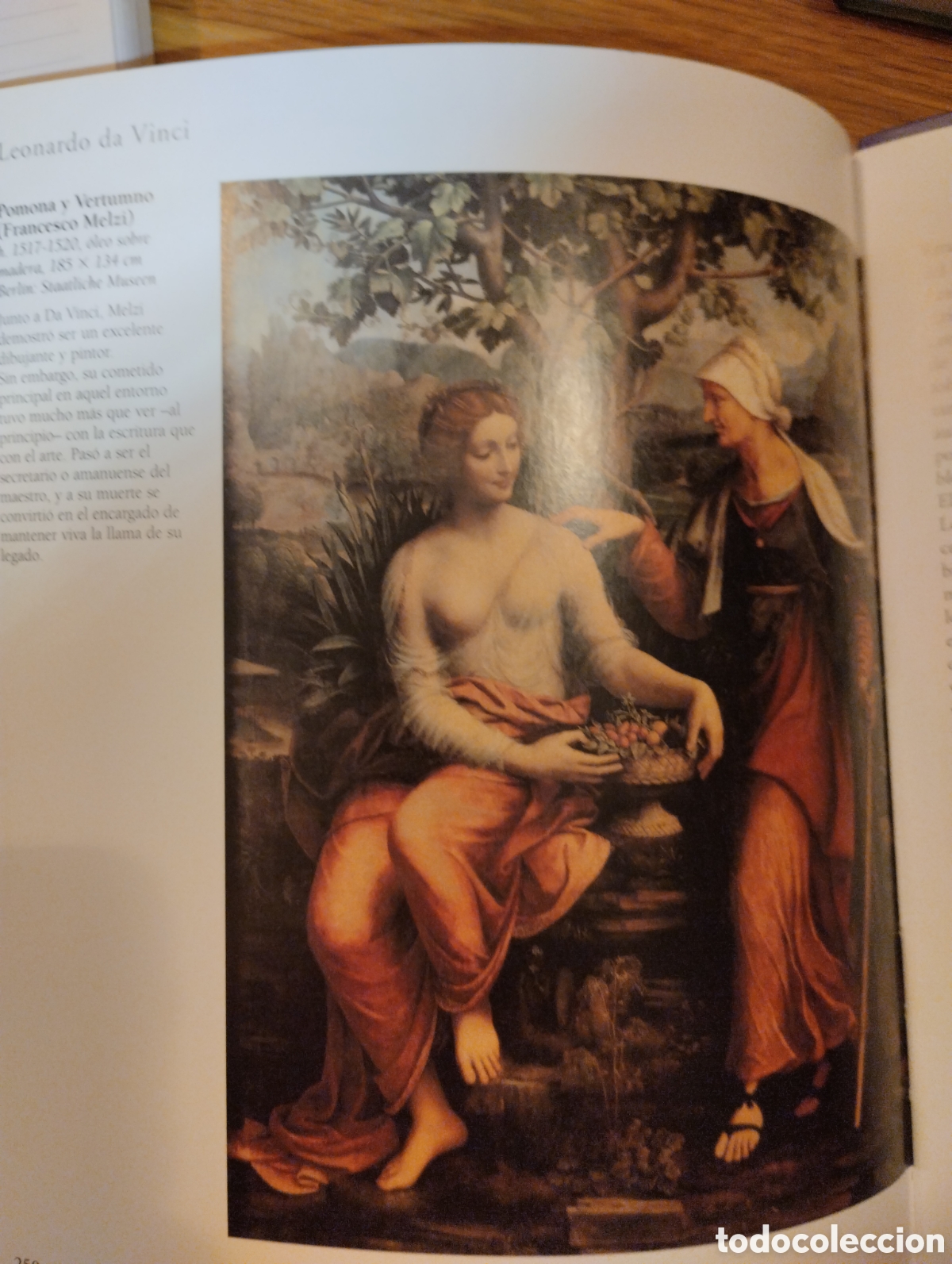 Libros: LEONARDO DA VINCI, TIKAL - Foto 18