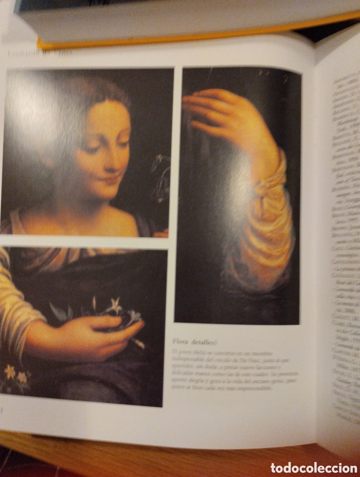 Libros: LEONARDO DA VINCI, TIKAL - Foto 19