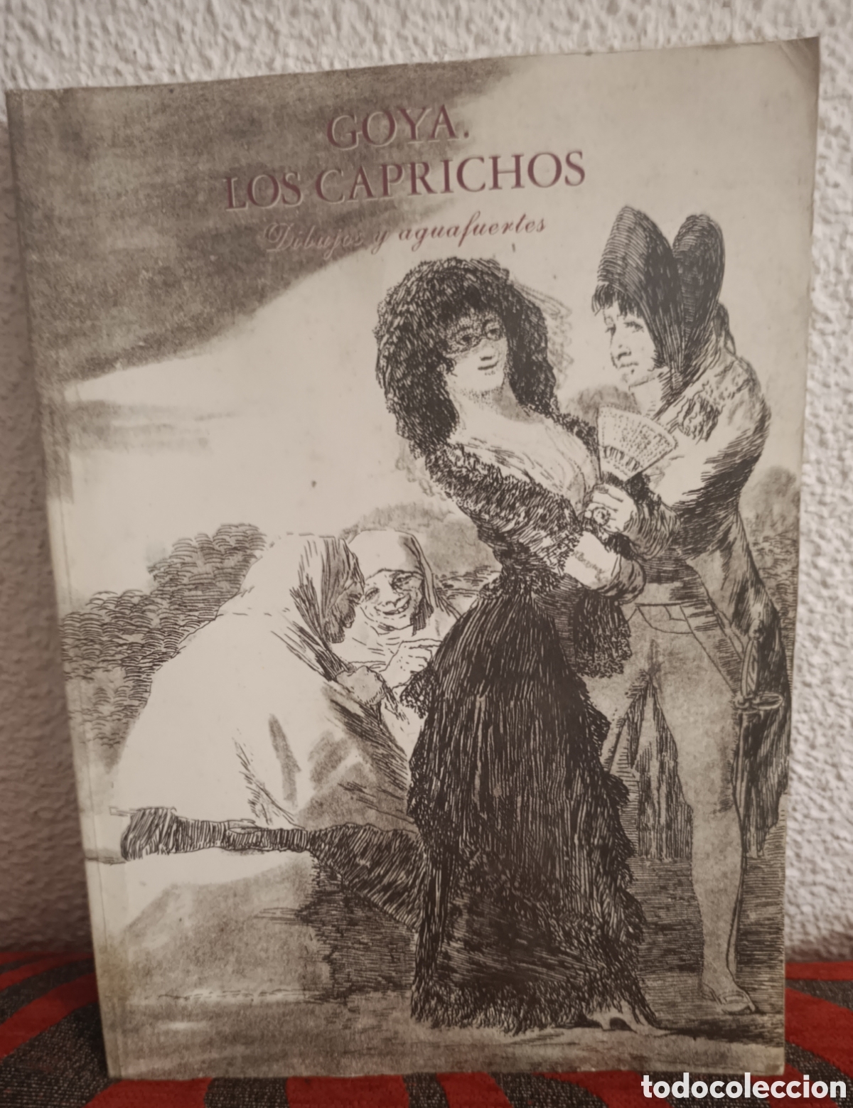 Libros: Libro de Arte: &rdquo;Goya - Los Caprichos&rdquo; (Dibujos y aguafuertes)