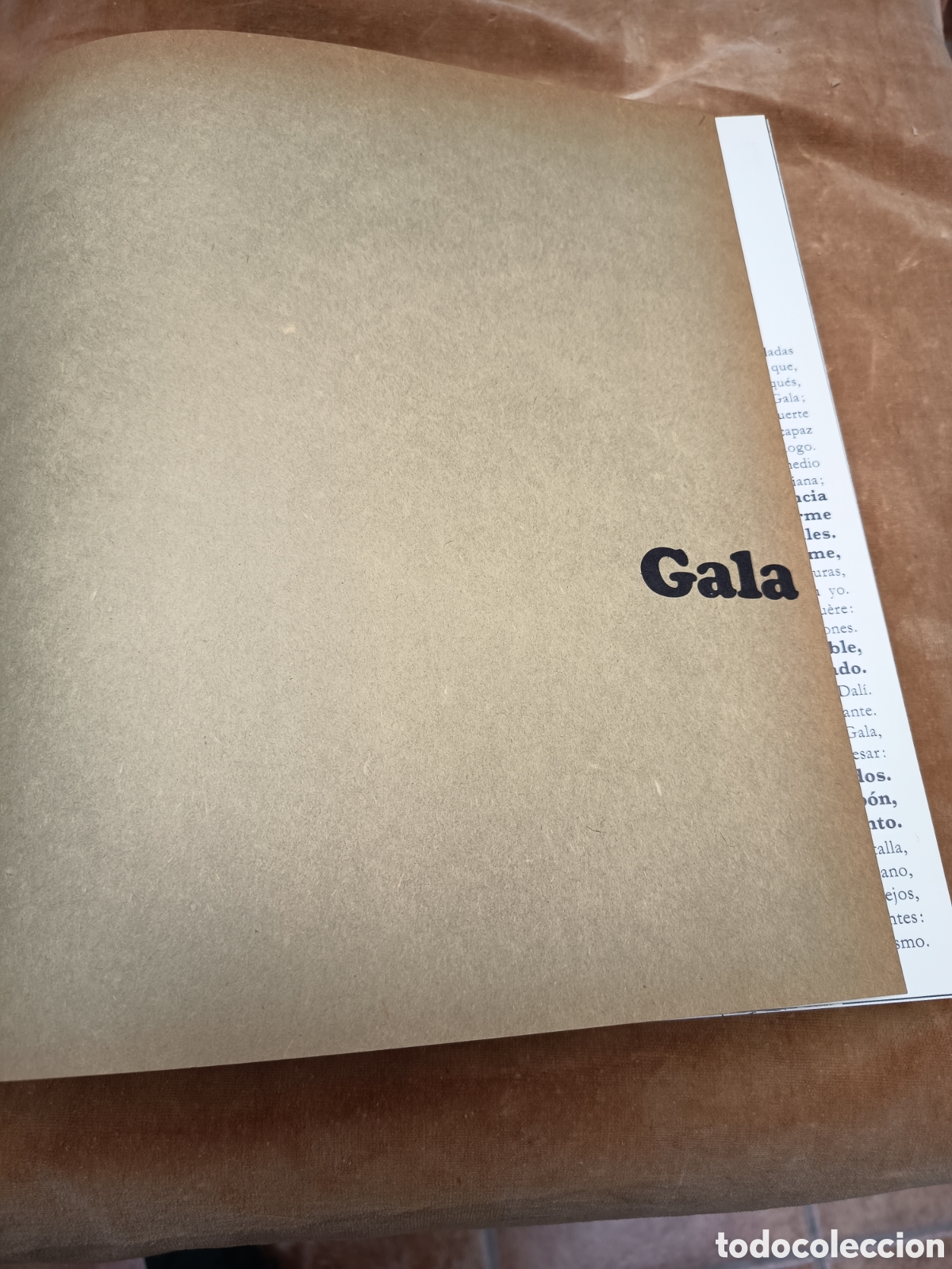 Libros: Dal&iacute; de Draeger Catalogo - Foto 4