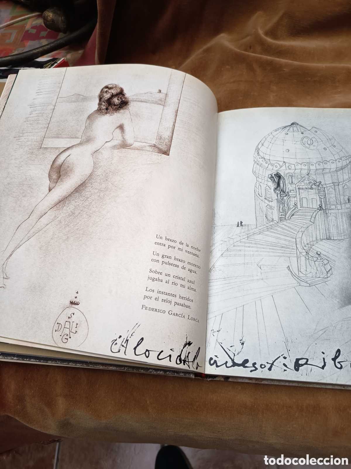 Libros: Dal&iacute; de Draeger Catalogo - Foto 5