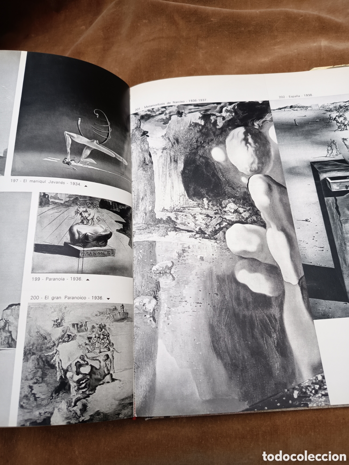 Libros: Dal&iacute; de Draeger Catalogo - Foto 12