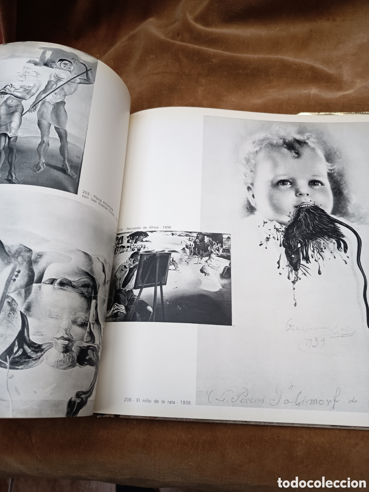 Libros: Dal&iacute; de Draeger Catalogo - Foto 13