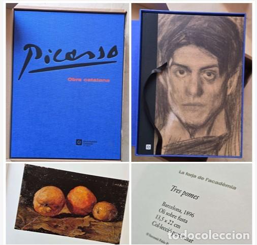 Libros: PICASSO: OBRA CATALANA