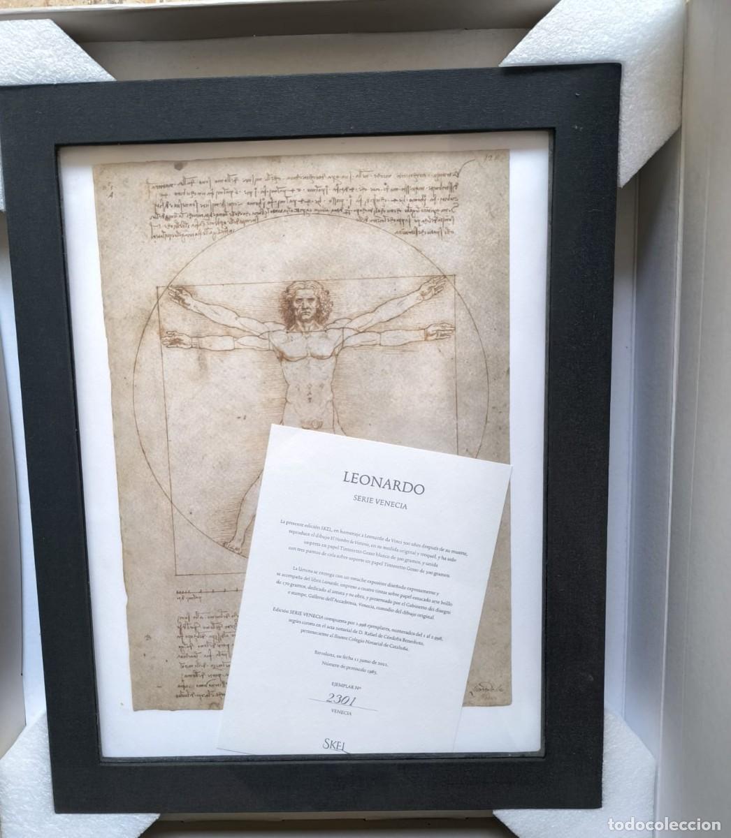 Libros: Leonardo 500. El Hombre de Vitruvio