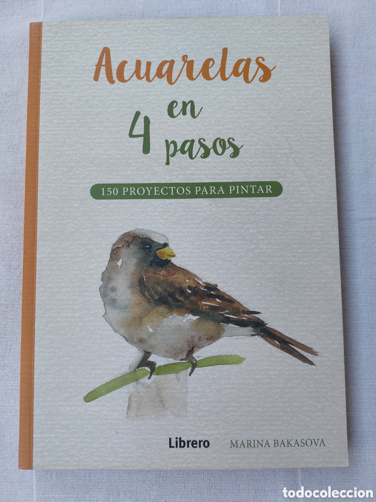 Libros: Acuarelas en cuatro pasos