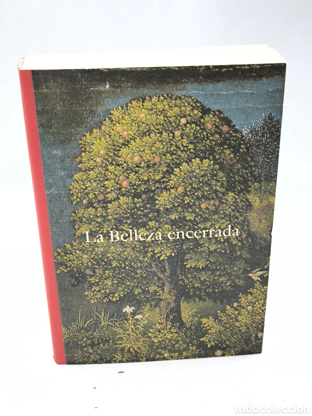 Libros: La belleza encerrada. Museo Nacional del Prado.