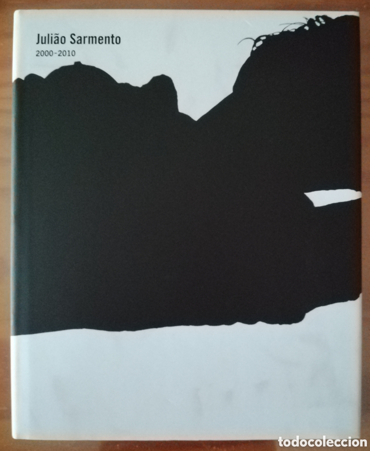 Libros: Juliao Sarmento. 2000-2010 - Foto 1